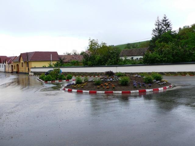 P1080468.JPG